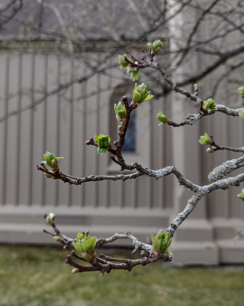 News & Events | St. Paul's Episcopal Church